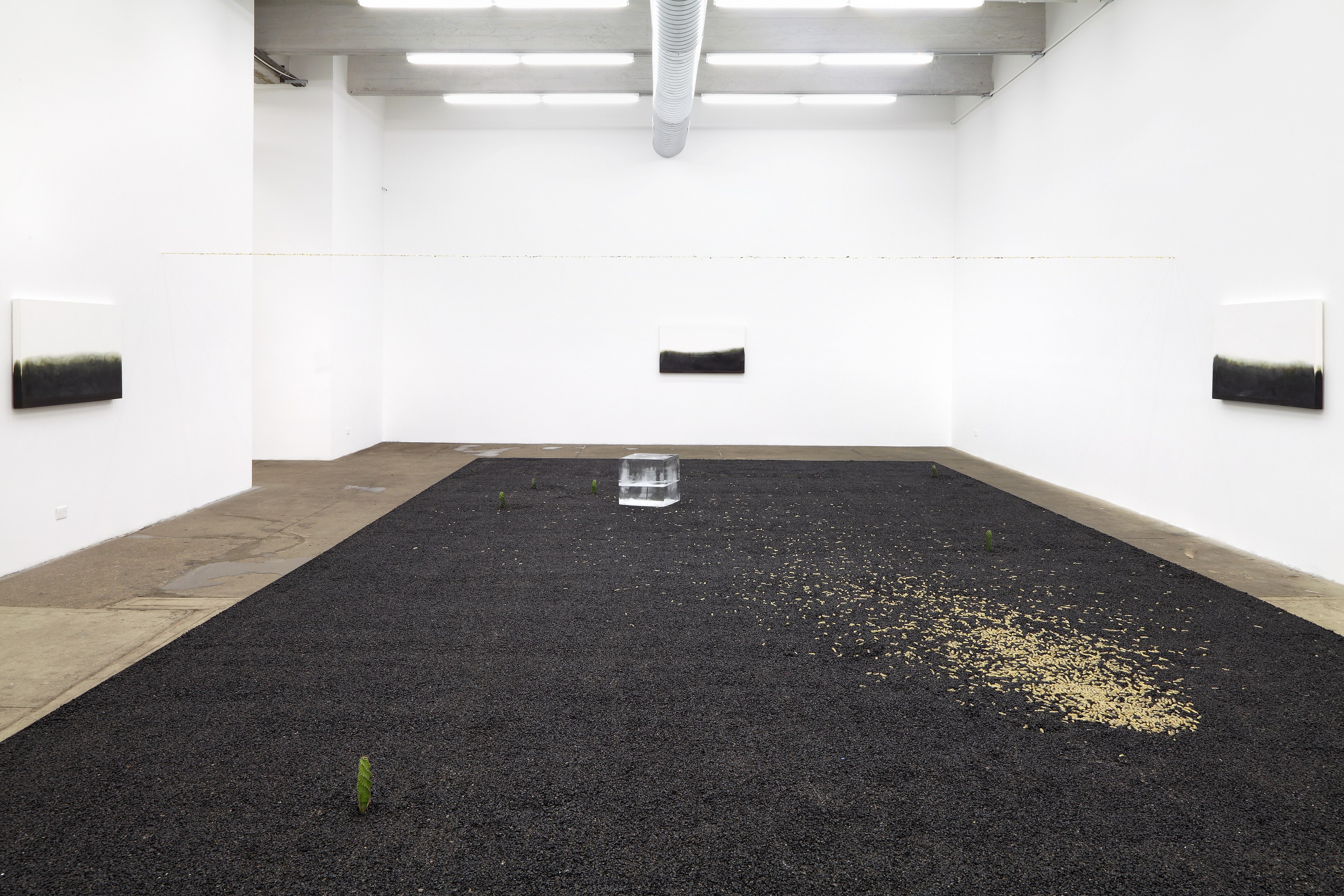 Michel François, Pieces of Evidence at Bortolami, photo 2