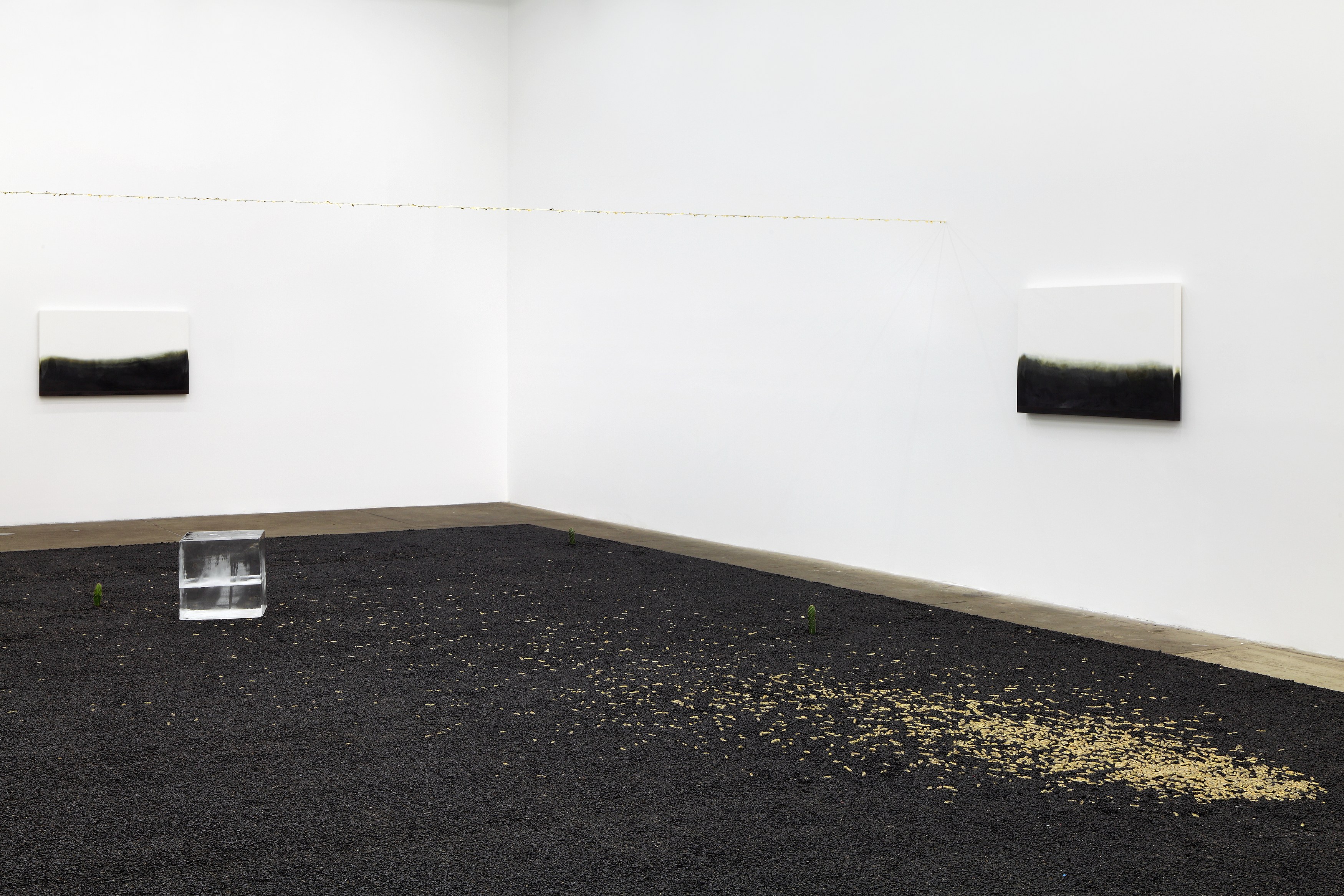 Michel François, Pieces of Evidence at Bortolami, photo 3