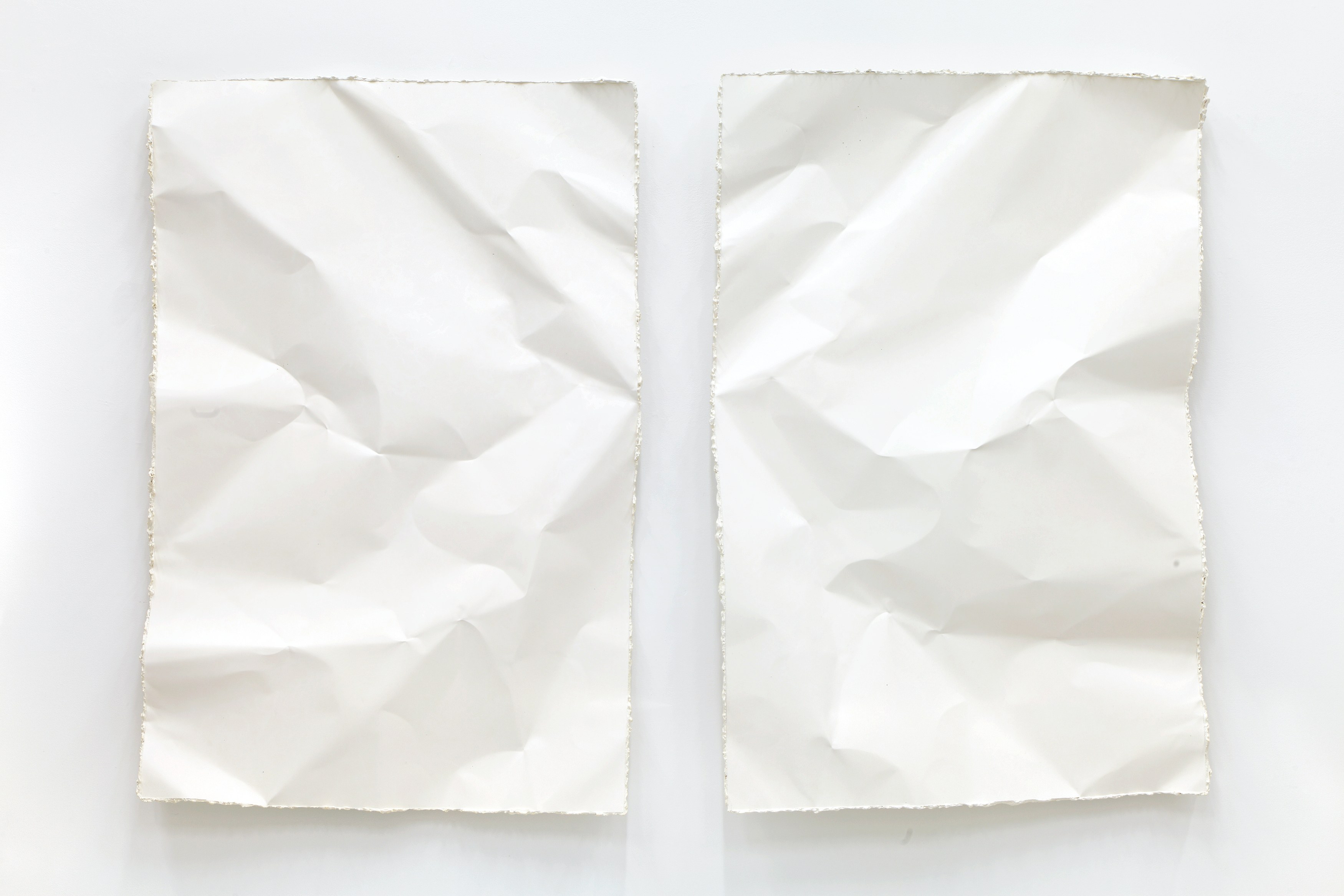 Michel François, Pieces of Evidence at Bortolami, photo 11