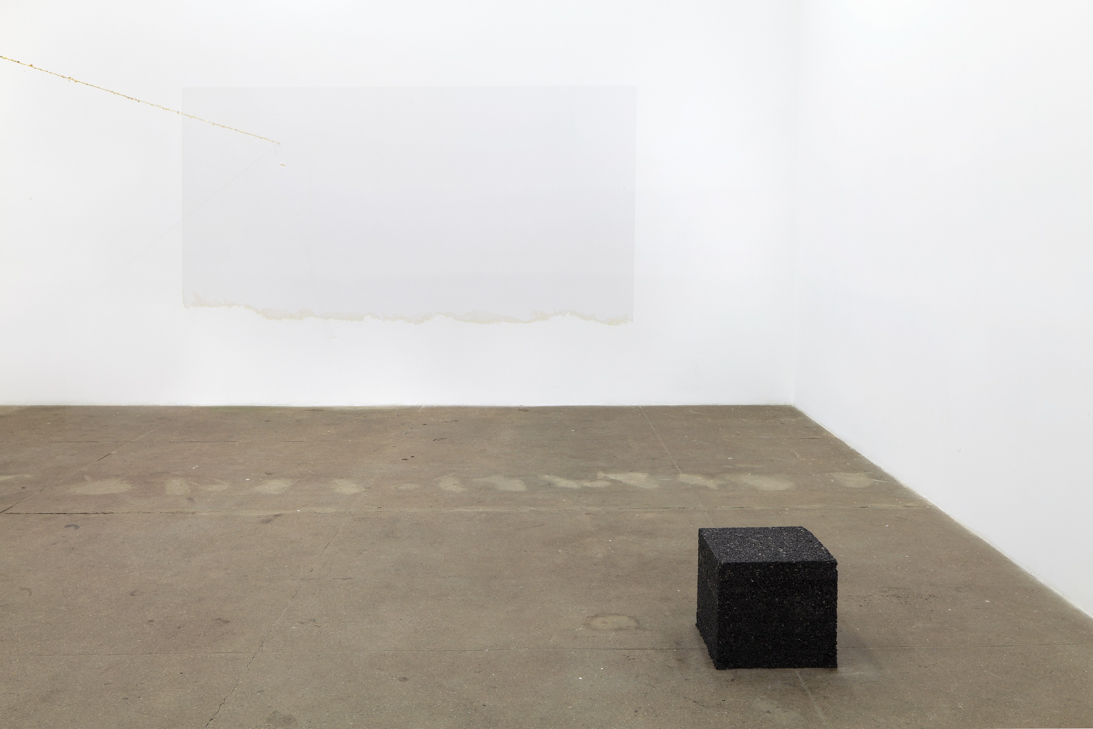 Michel François, Pieces of Evidence at Bortolami, photo 7