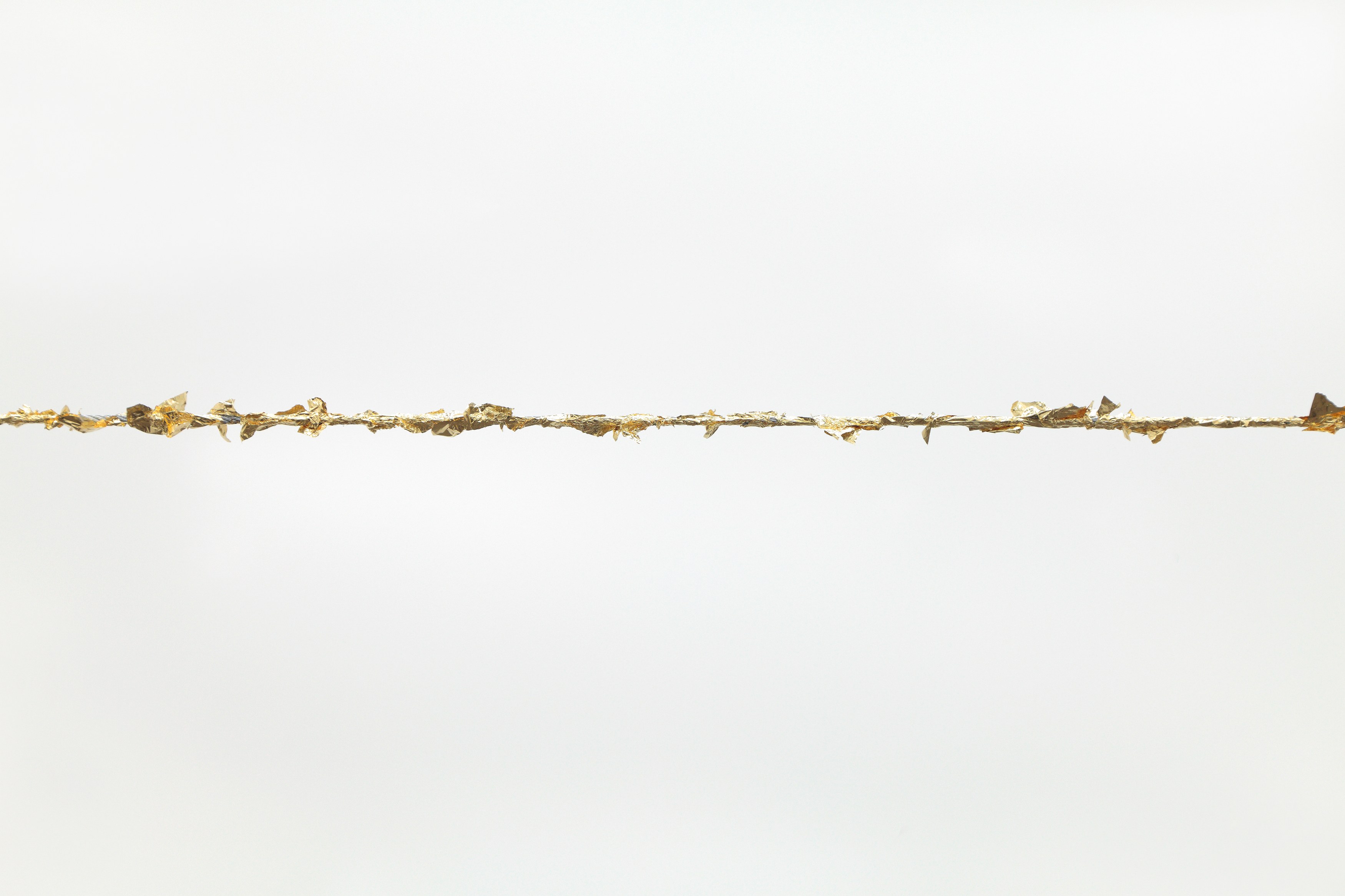 Michel François, Pieces of Evidence at Bortolami, photo 21