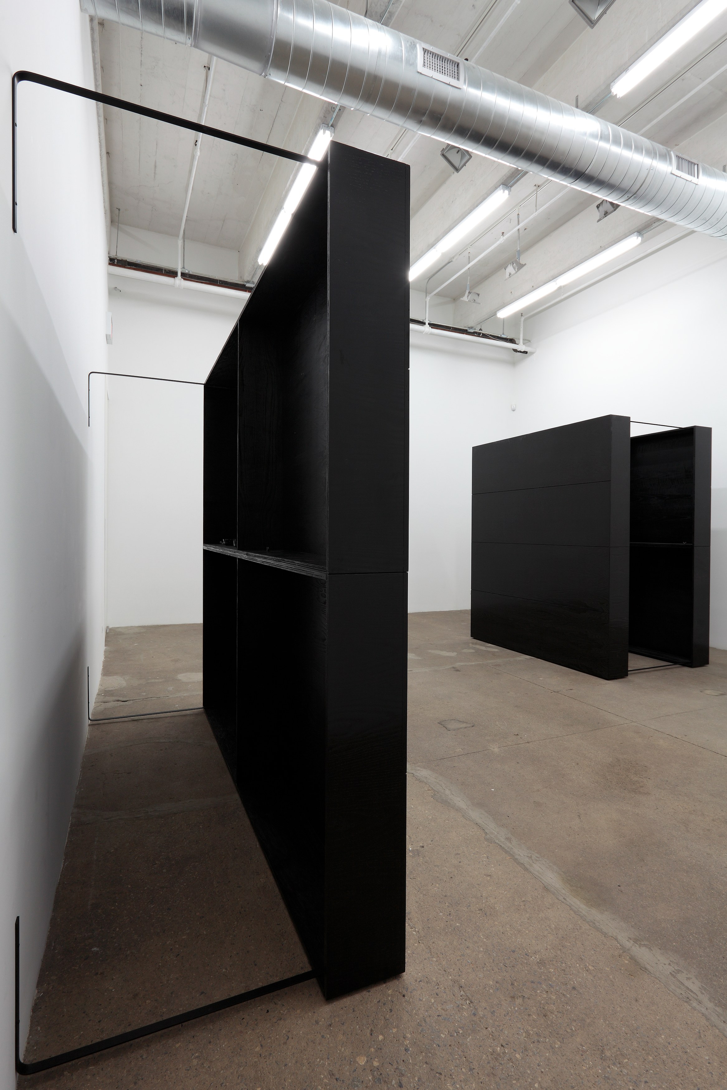 Tom Burr, Black Lab at Bortolami, photo 4