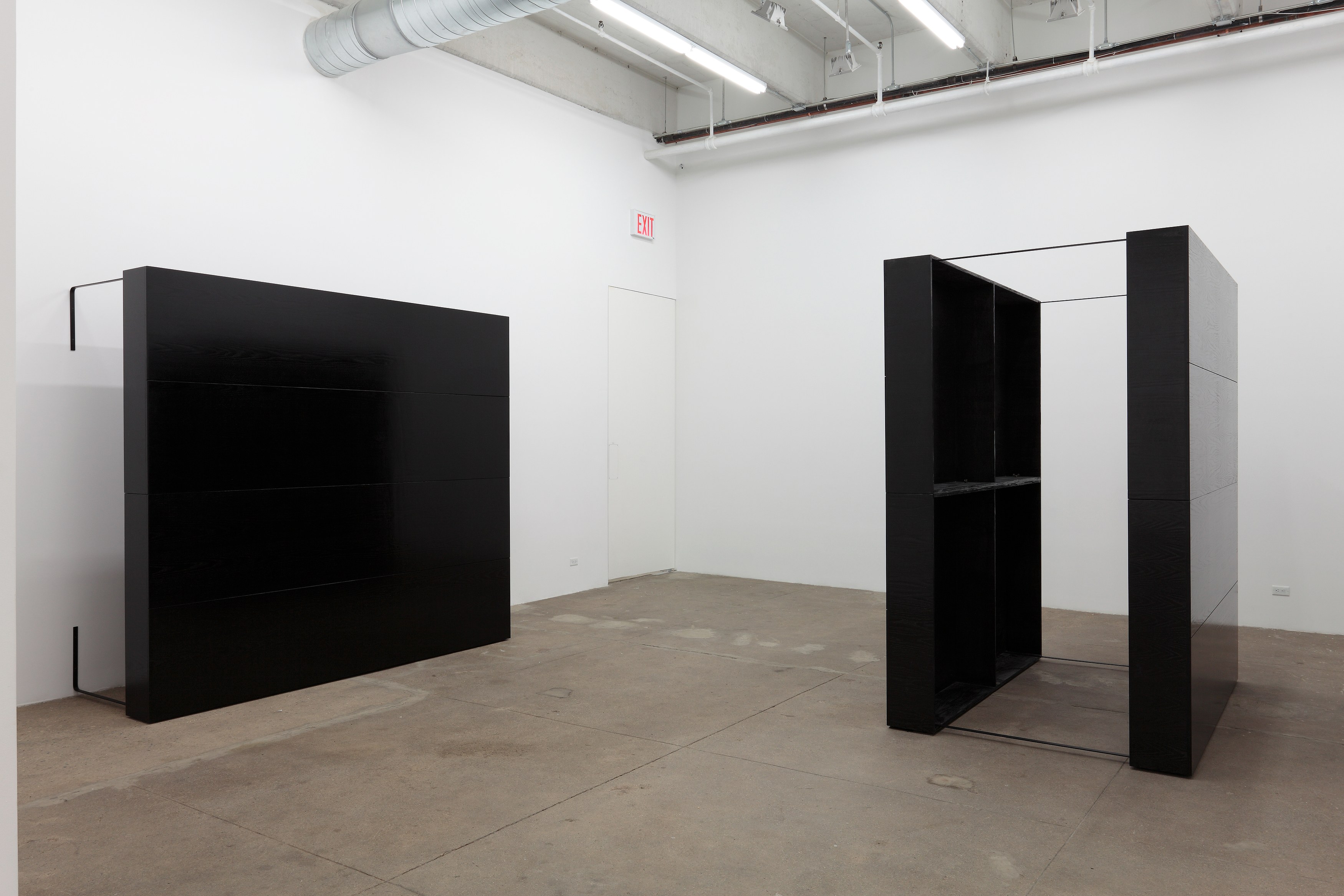Tom Burr, Black Lab at Bortolami, photo 2