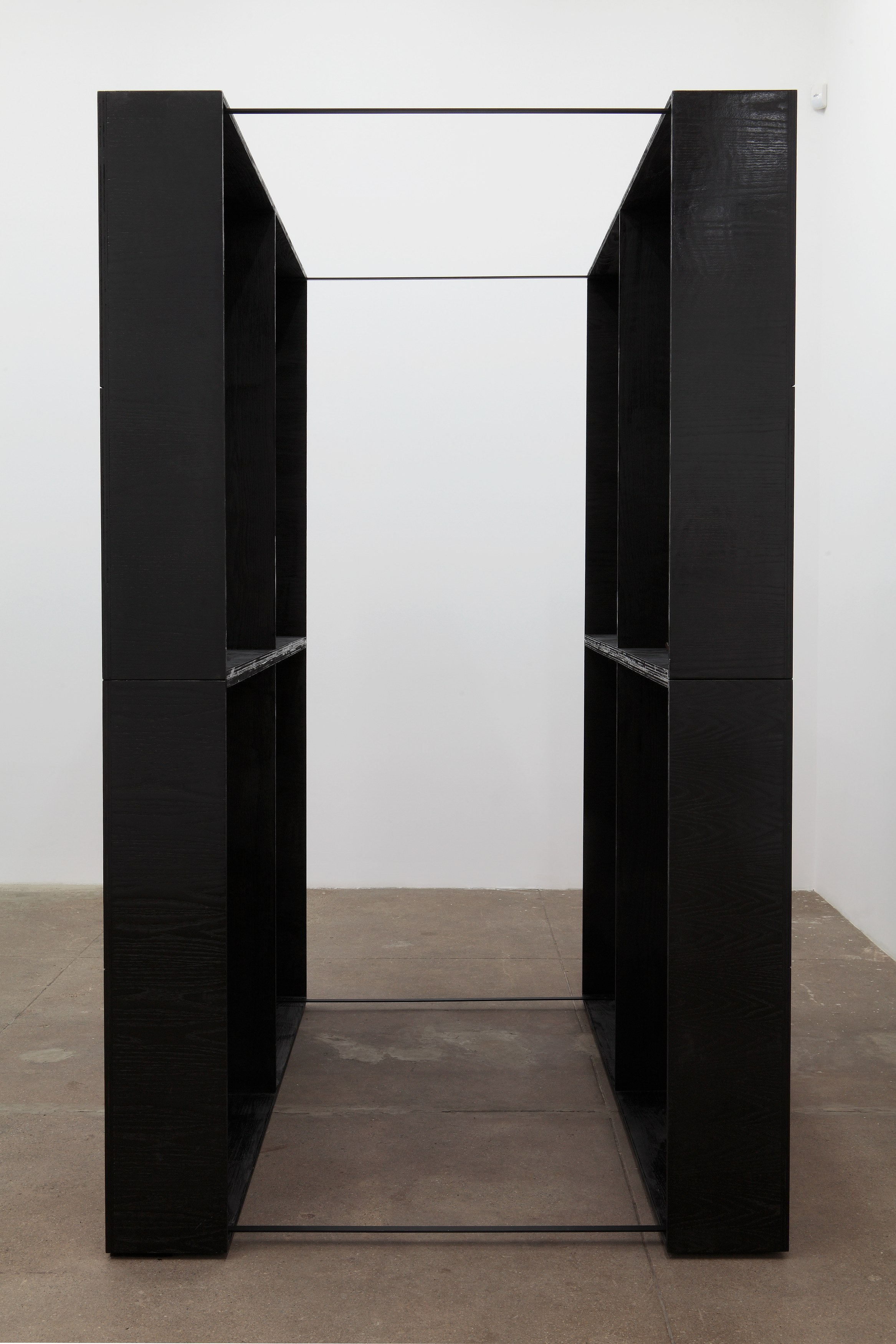 Tom Burr, Black Lab at Bortolami, photo 5