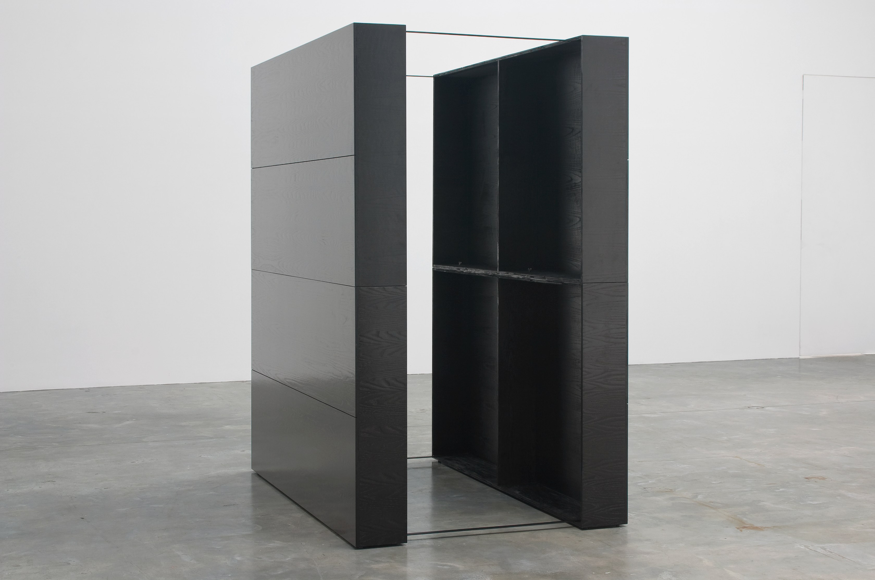 Tom Burr, Black Lab at Bortolami, photo 7