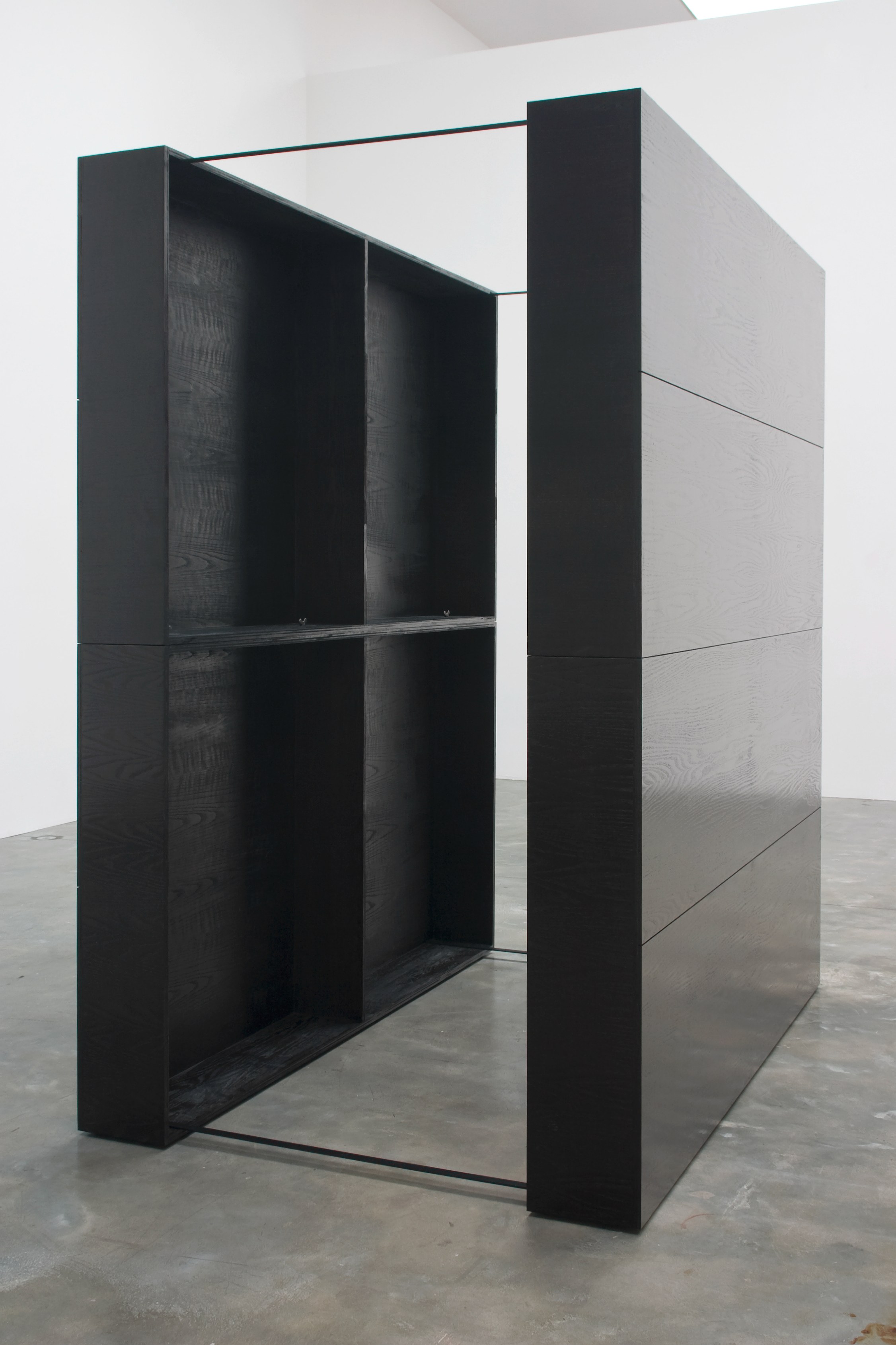 Tom Burr, Black Lab at Bortolami, photo 8