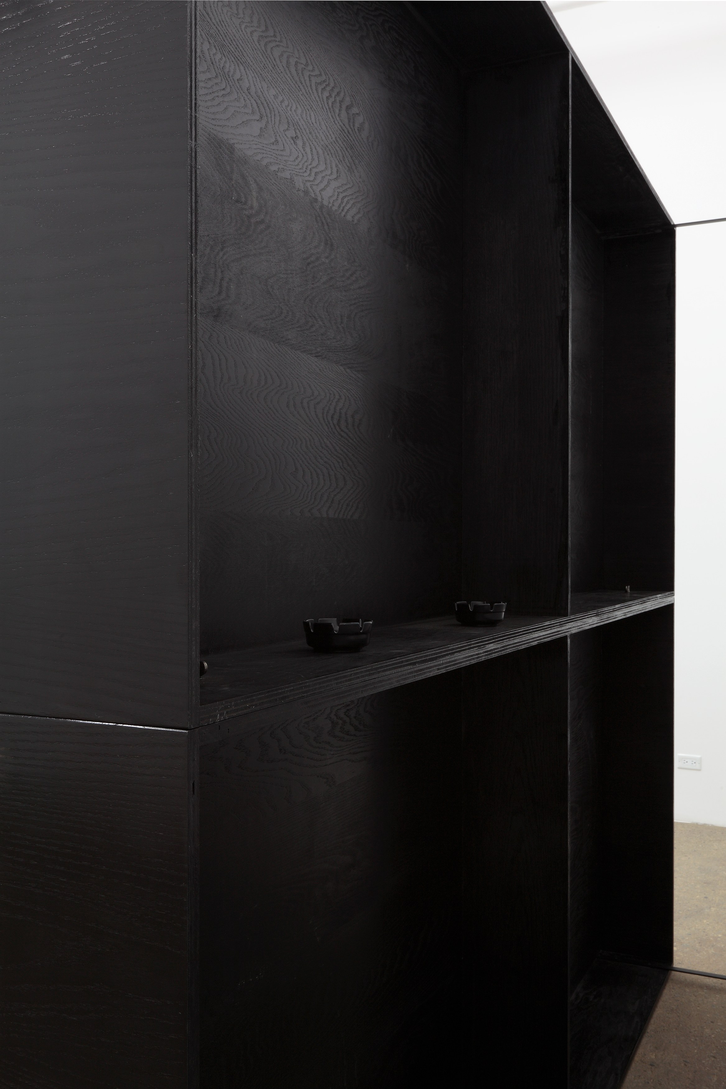 Tom Burr, Black Lab at Bortolami, photo 11