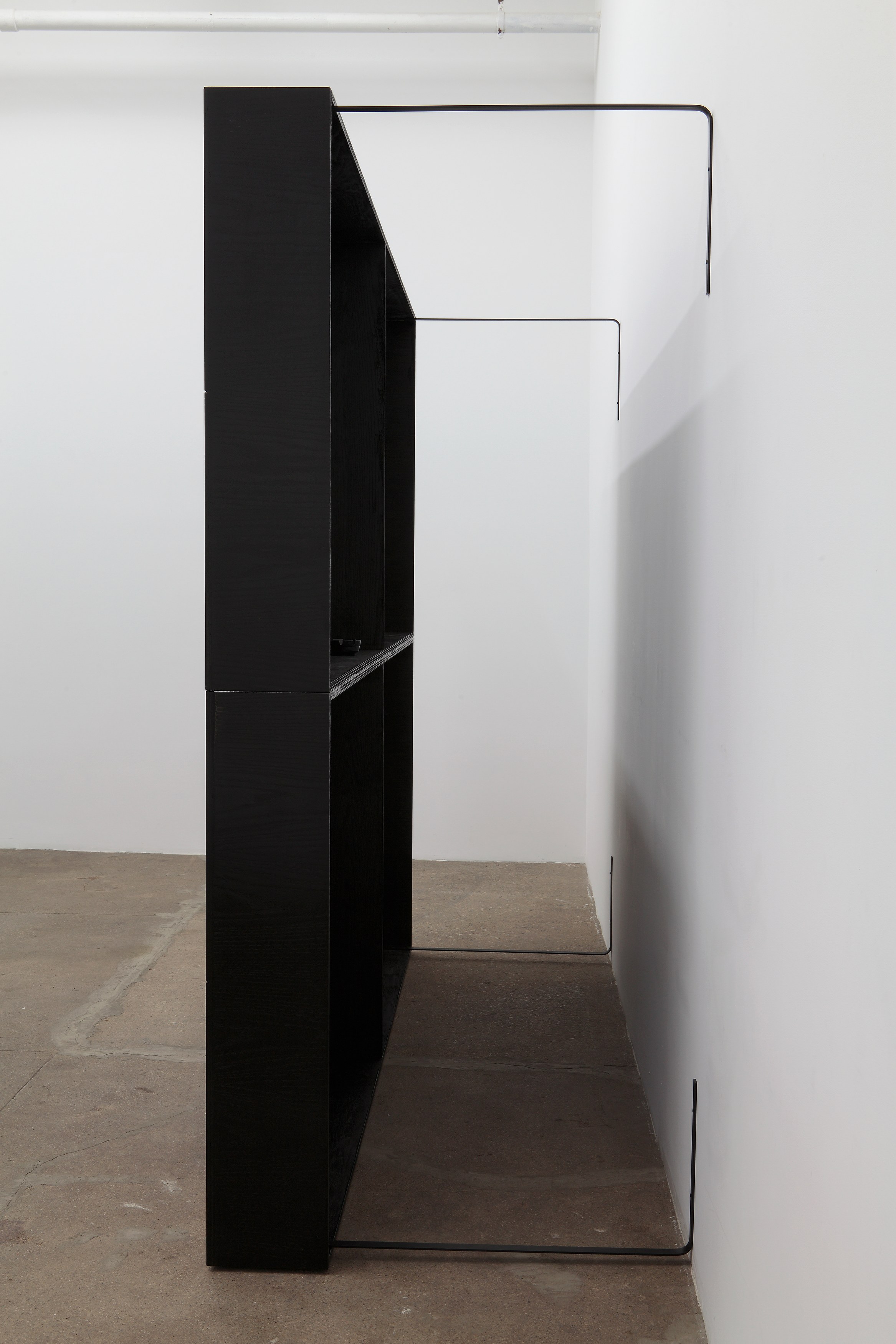 Tom Burr, Black Lab at Bortolami, photo 10