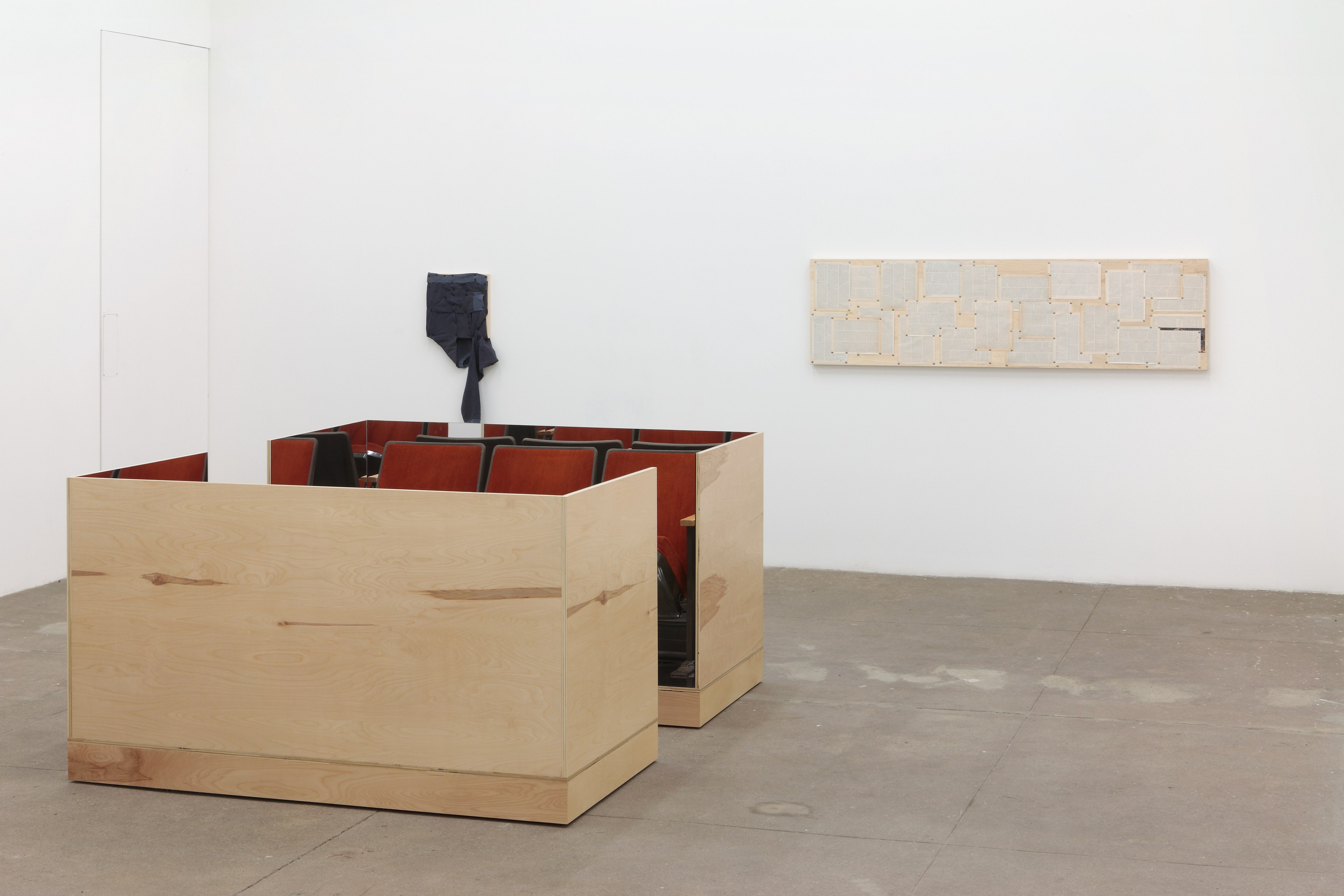 Tom Burr, deep wood drive at Bortolami, photo 16
