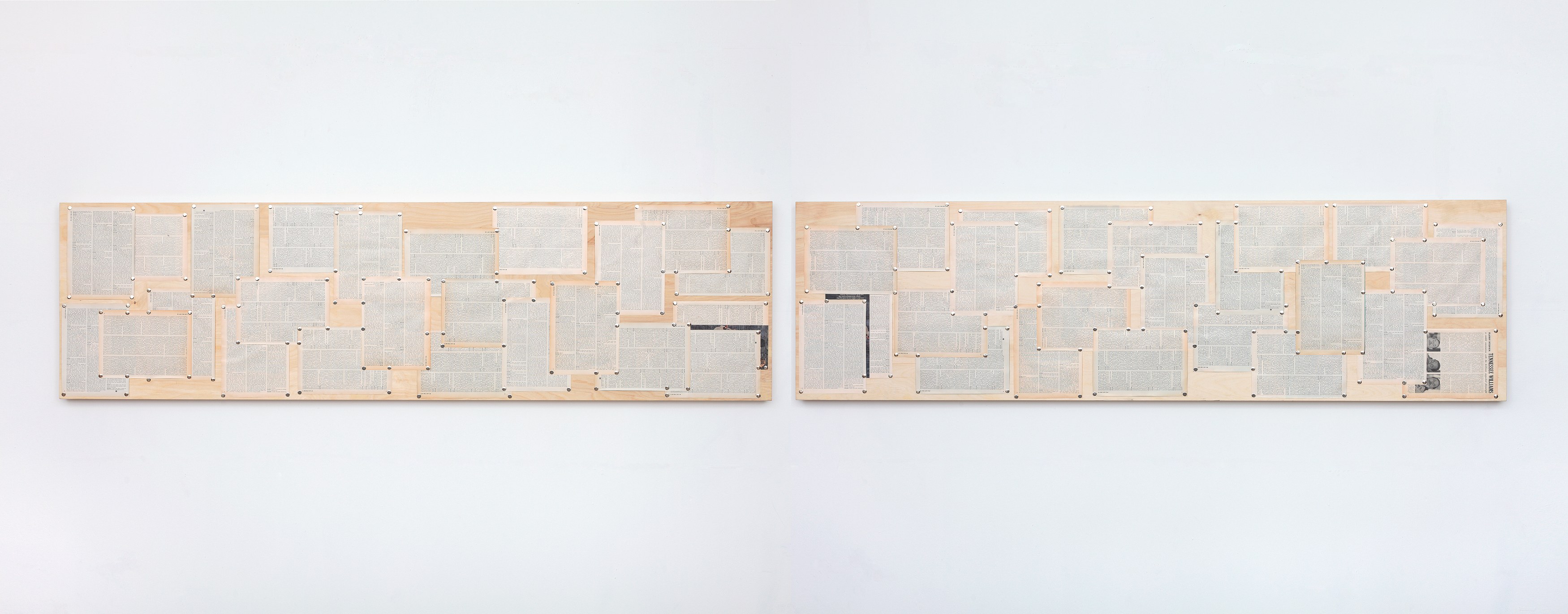 Tom Burr, deep wood drive at Bortolami, photo 44