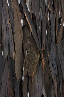 Image 14 of 70