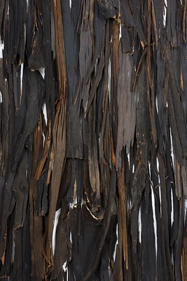 Image 13 of 70