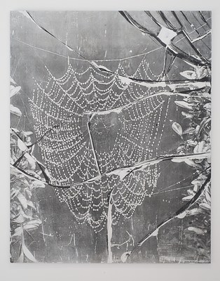 Image 41 of 70