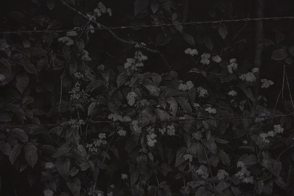 Image 30 of 70