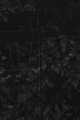 Image 32 of 70