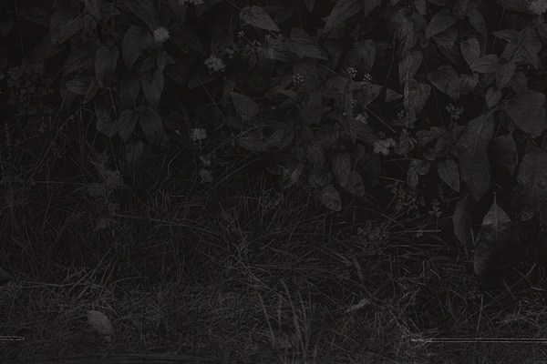 Image 31 of 70