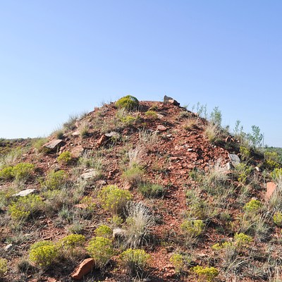 Image 8 of 14
