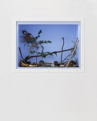 Image 17 of 24