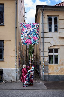 Image 12 of 36