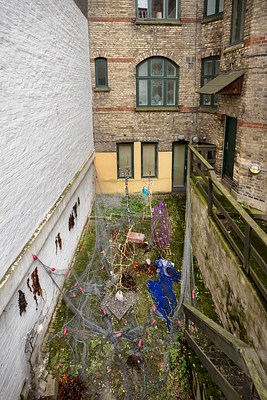 Image 15 of 36