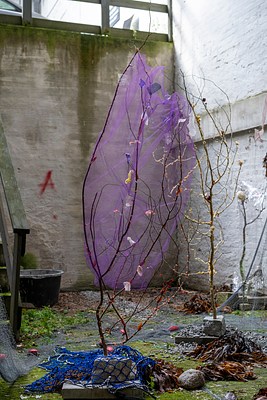 Image 34 of 36