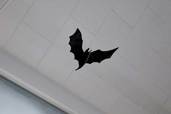 Image 7 of 27