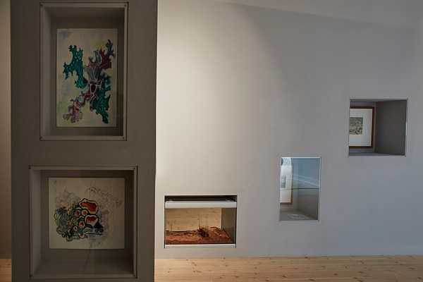 Image 11 of 27
