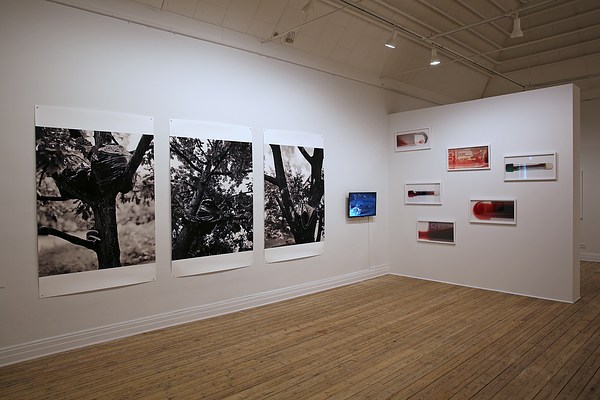 Image 4 of 30