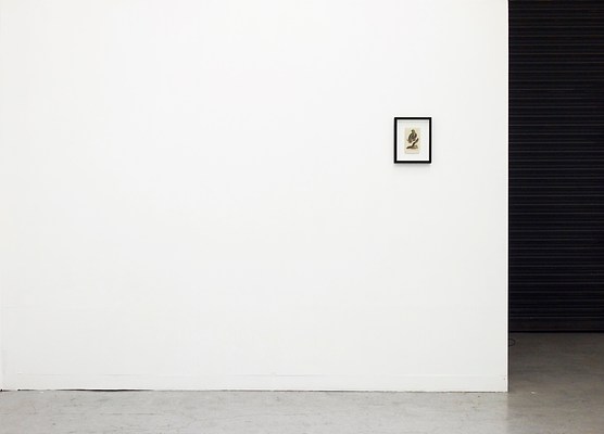 Image 10 of 37