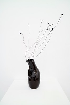 Image 12 of 27