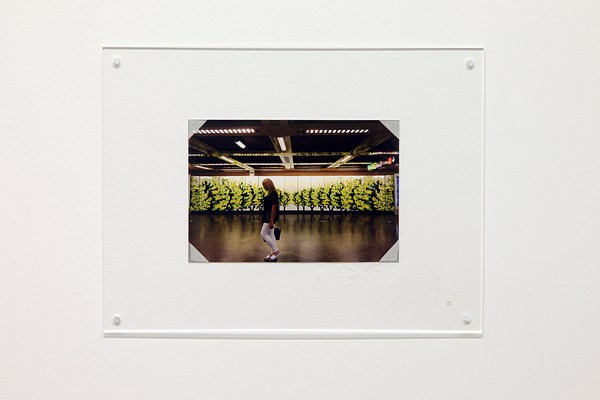 Image 15 of 42