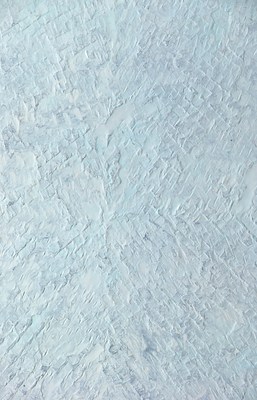 Image 13 of 27