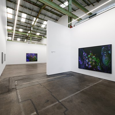 Image 1 of 17