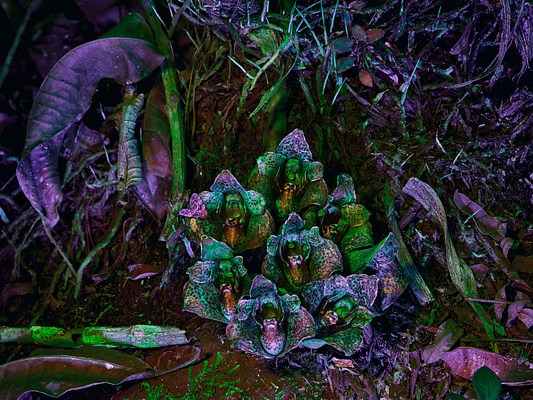 Image 4 of 17