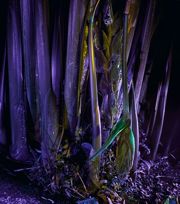 Image 5 of 17