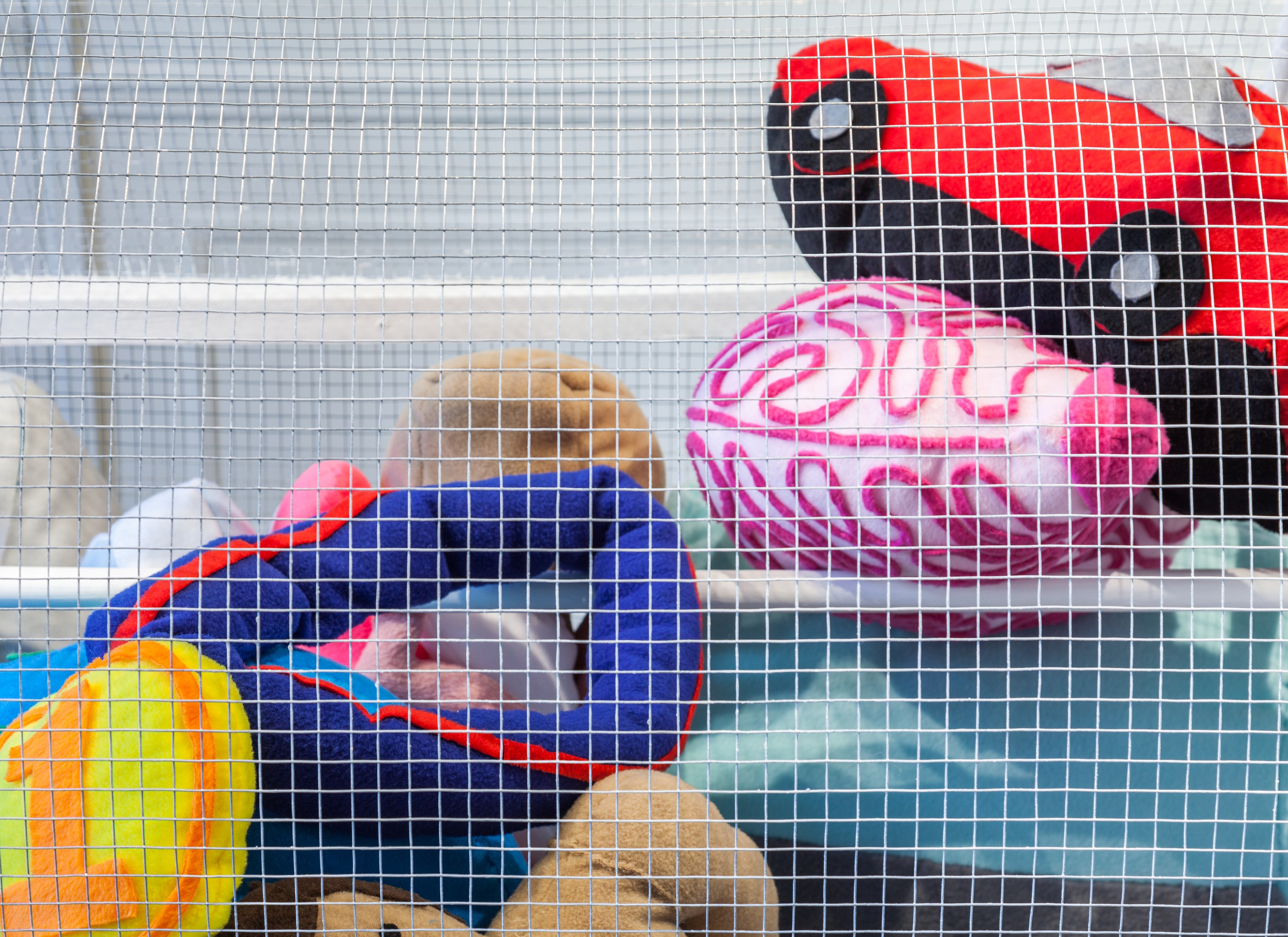 Hannah Greely, Hannah Greely at Parker Gallery, photo 19
