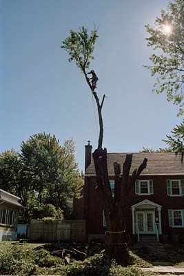 Image 21 of 76