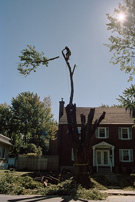 Image 22 of 76