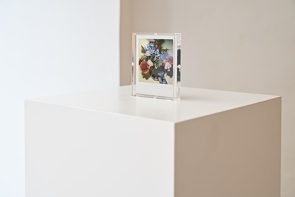 Image 6 of 37