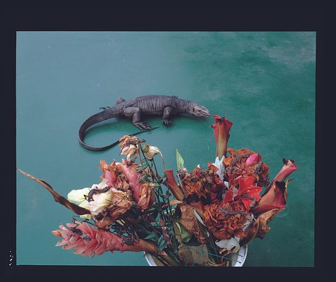 Image 8 of 37