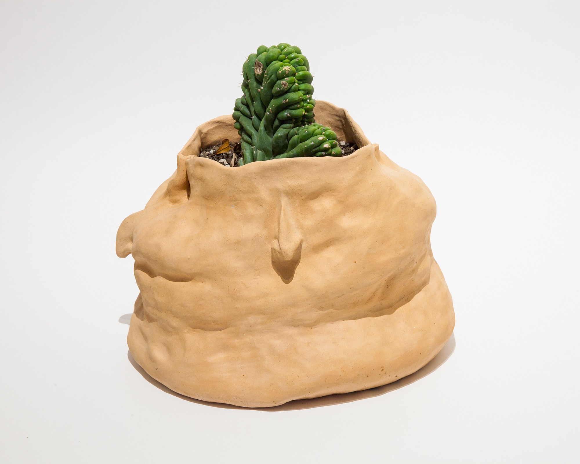 Nut Art, Nut Art at Parker Gallery, photo 39