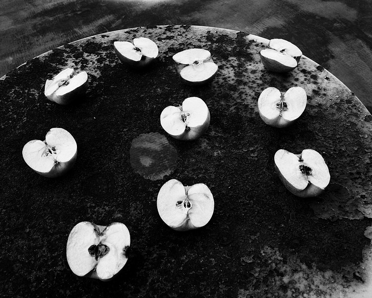 Nobuyoshi Araki | Contemporary Art Library