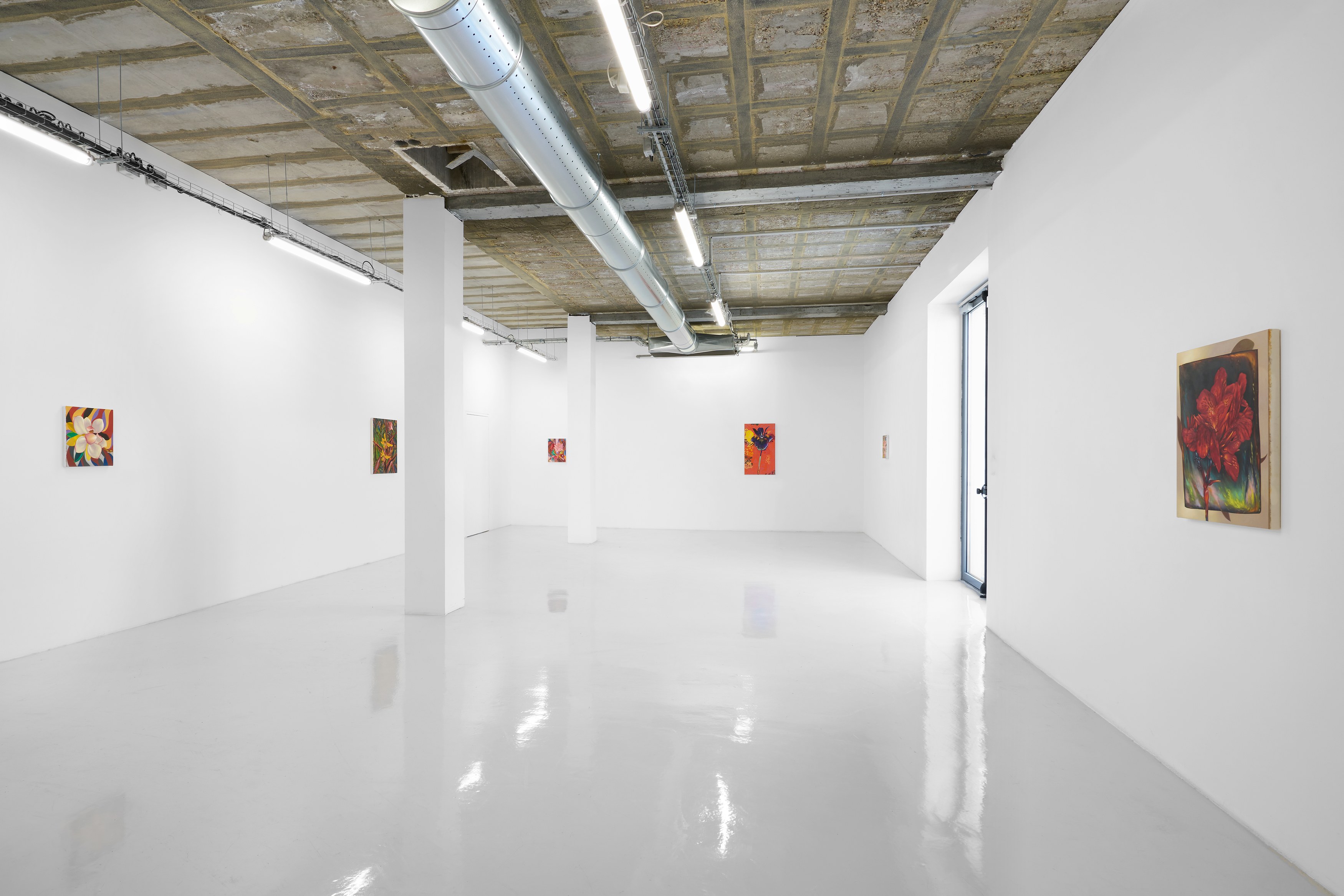 Tom Allen, Præternatura at Air de Paris, photo 3