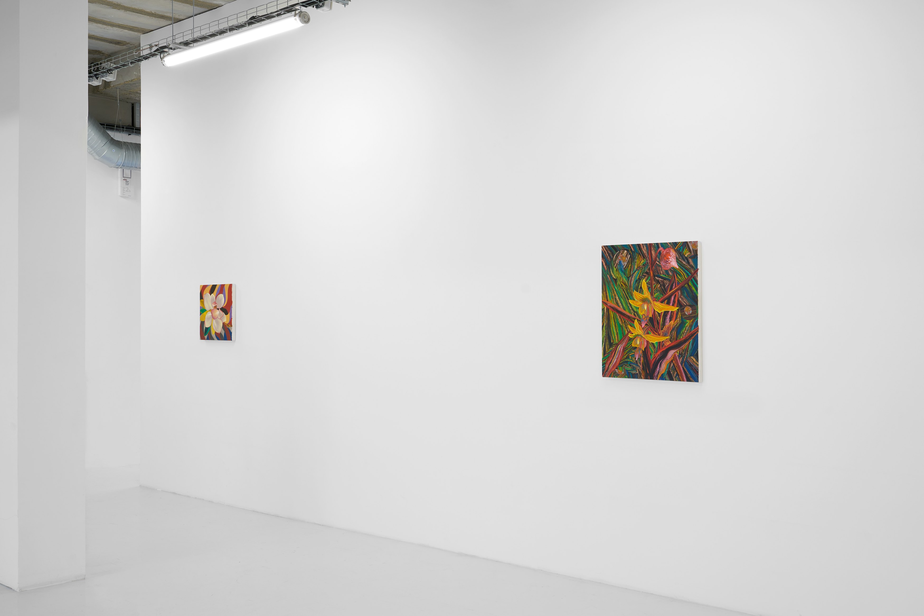 Tom Allen, Præternatura at Air de Paris, photo 5