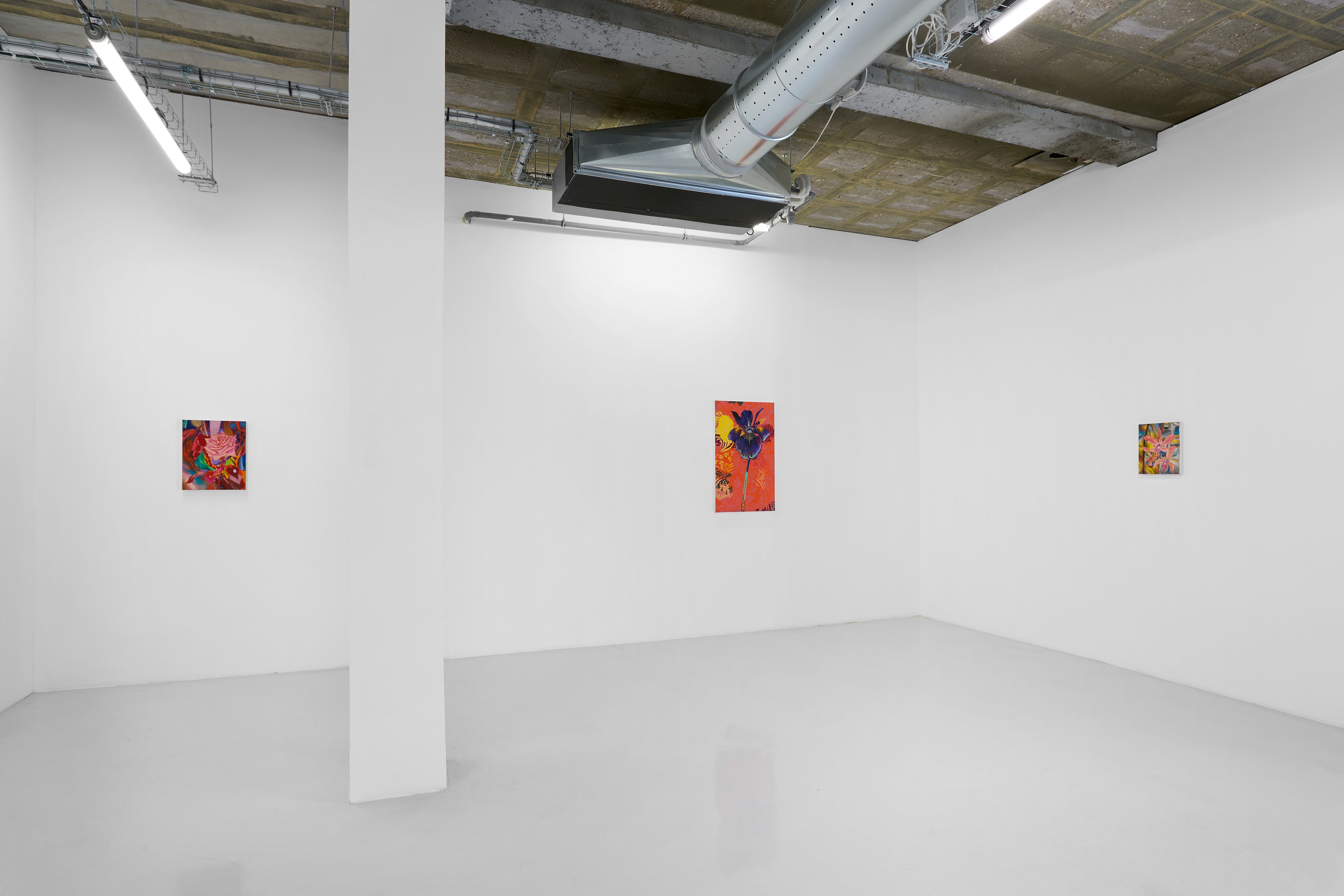 Tom Allen, Præternatura at Air de Paris, photo 6