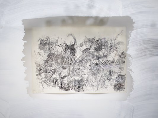 Image 4 of 30