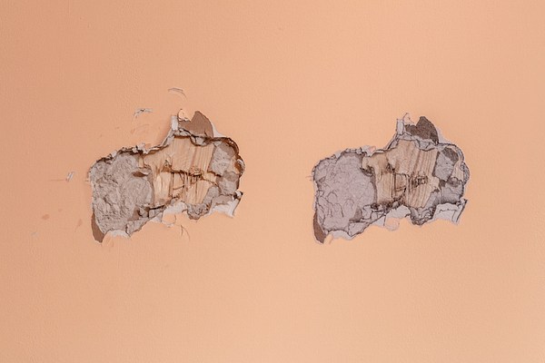 Image 13 of 16