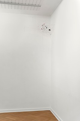 Image 6 of 23