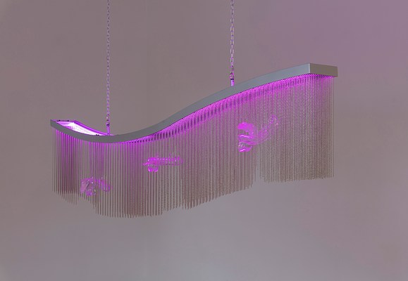 Image 12 of 23