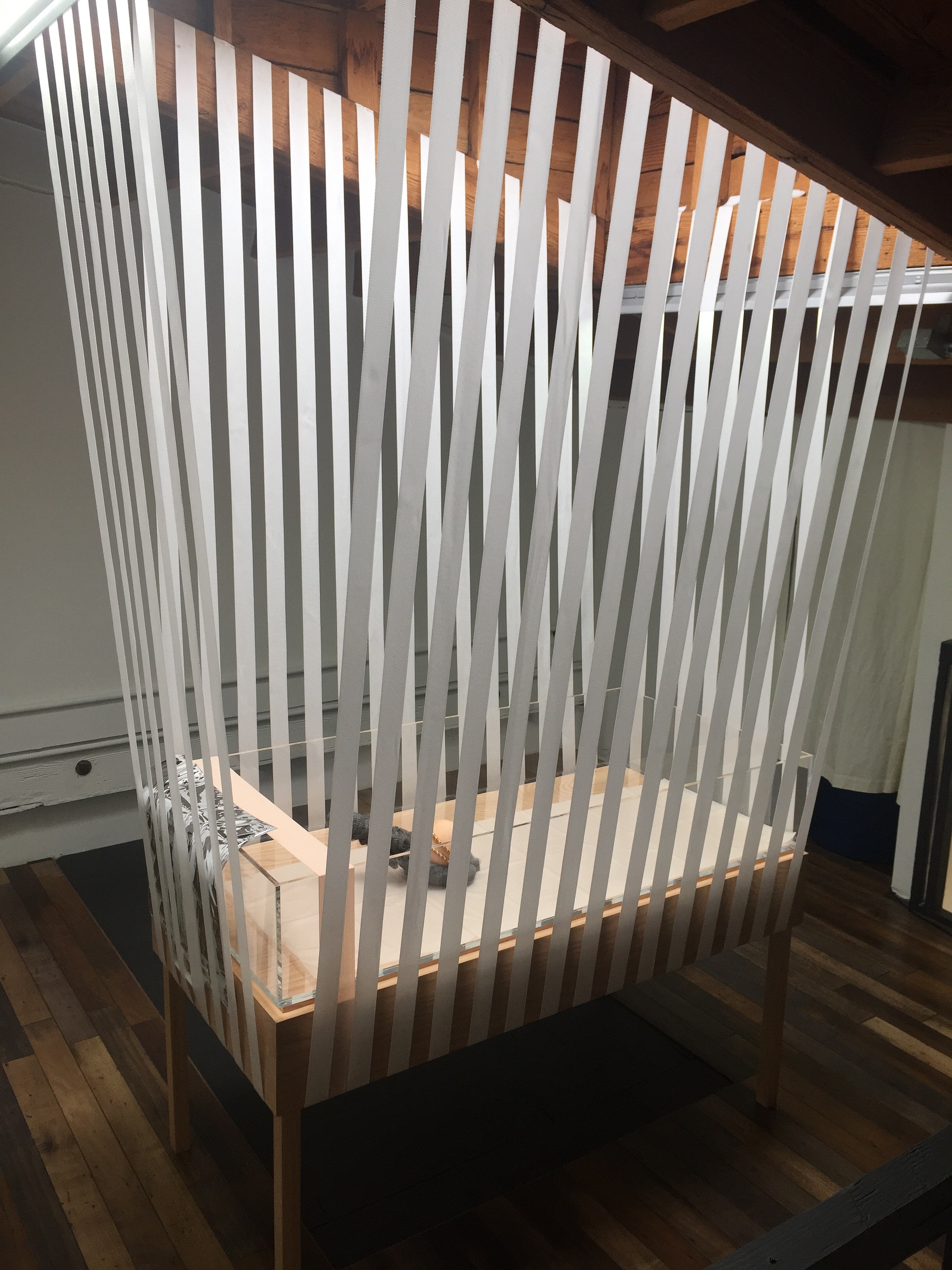 Alisa Baremboym, Untitled (Vitrine) at Joan, photo 2